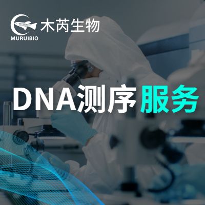 DNA測序服務