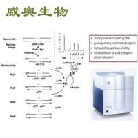 LUMA整体甲基化检测