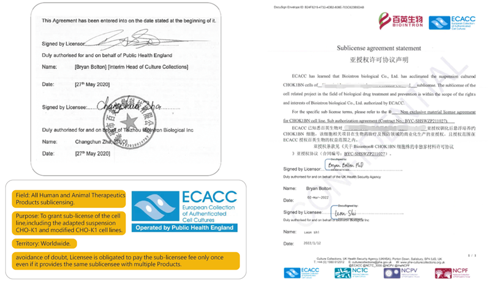 全球商业化亚授权的CHOK1BN宿主细胞，保证您申报无忧