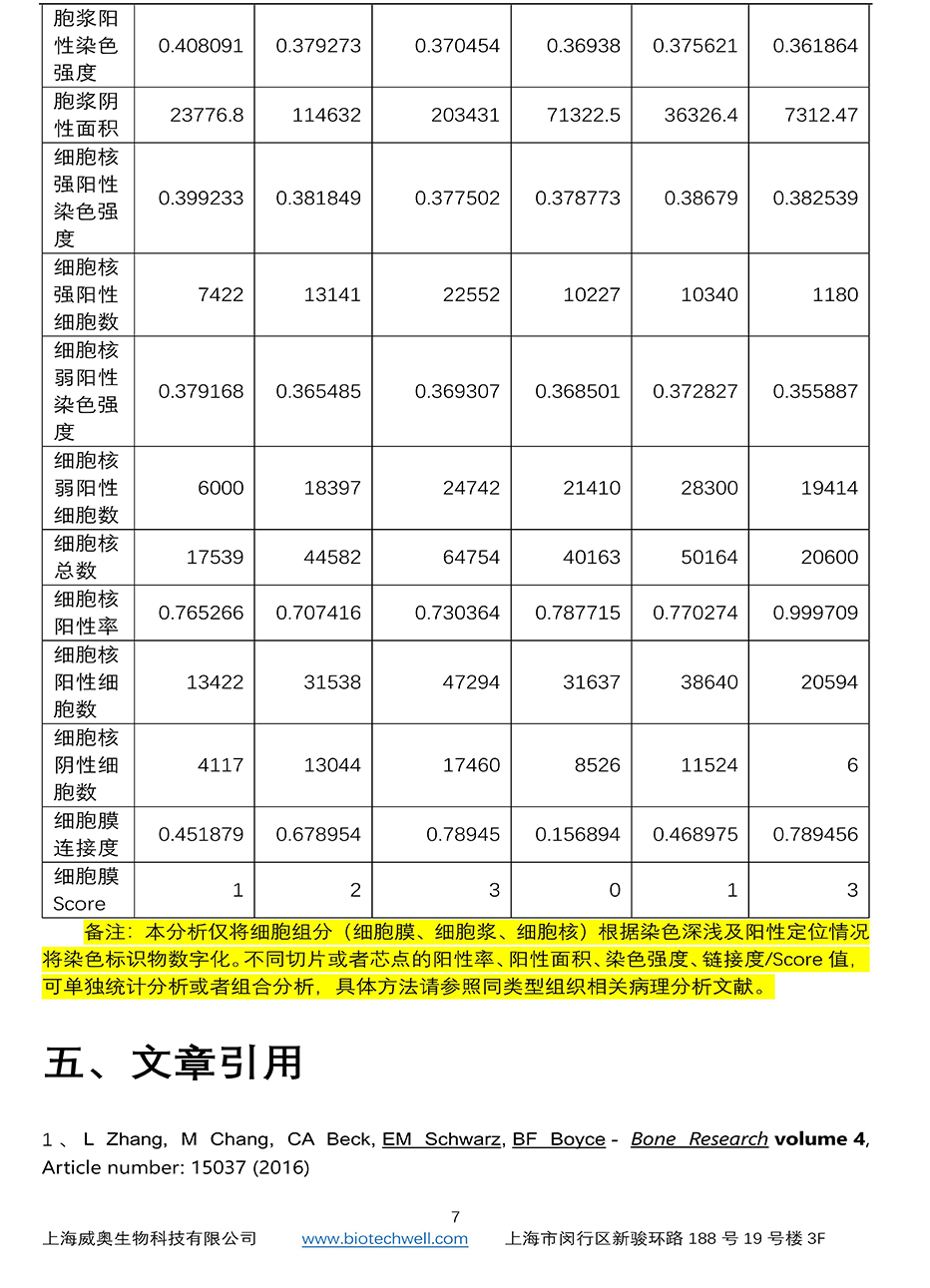 组织芯片扫描结果分析