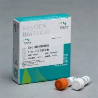 β-actin上、下游引物(10μM)(反转录PCR, 适用于人、大鼠、小鼠)