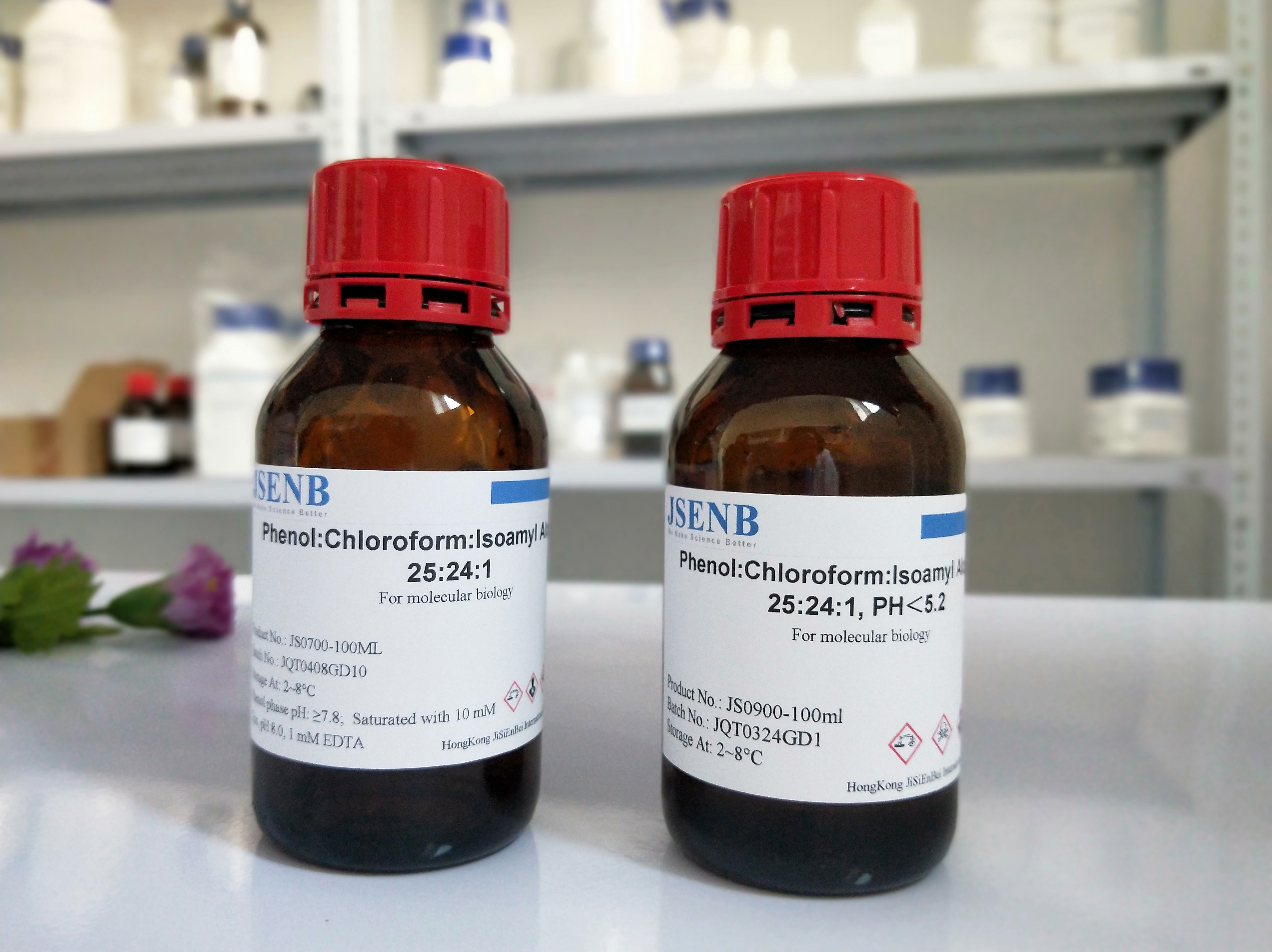 文献和实验图片1