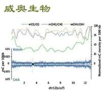 SNP突变频率检测