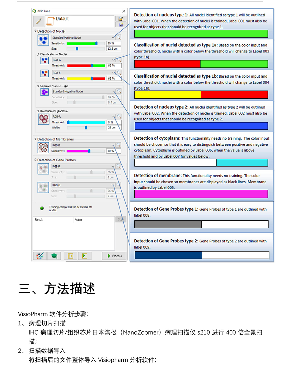 组织芯片扫描结果分析