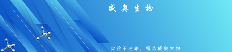 miRNA前体甲基化测序