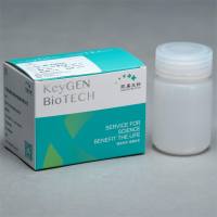 1M Tris-HCL缓冲液(pH8.0,无菌,DNase free)