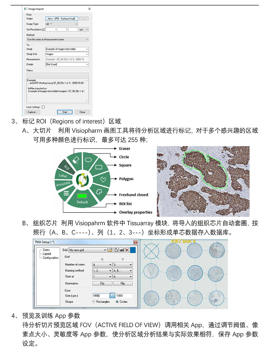 组织芯片扫描结果分析