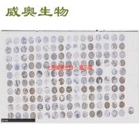 免疫组化(IHC)检测服务