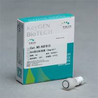 BSA蛋白标准液(5mg/ml)