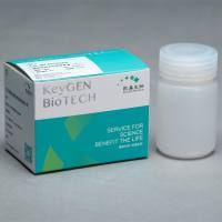 漂片抗原修复液(10X)