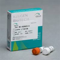 膜蛋白，核蛋白和胞质蛋白提取试剂盒