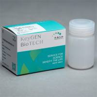 柠檬酸钠抗原修复液(50X)