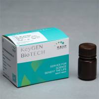 防荧光淬灭封片剂(含DAPI)