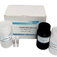 植物蛋白提取试剂盒