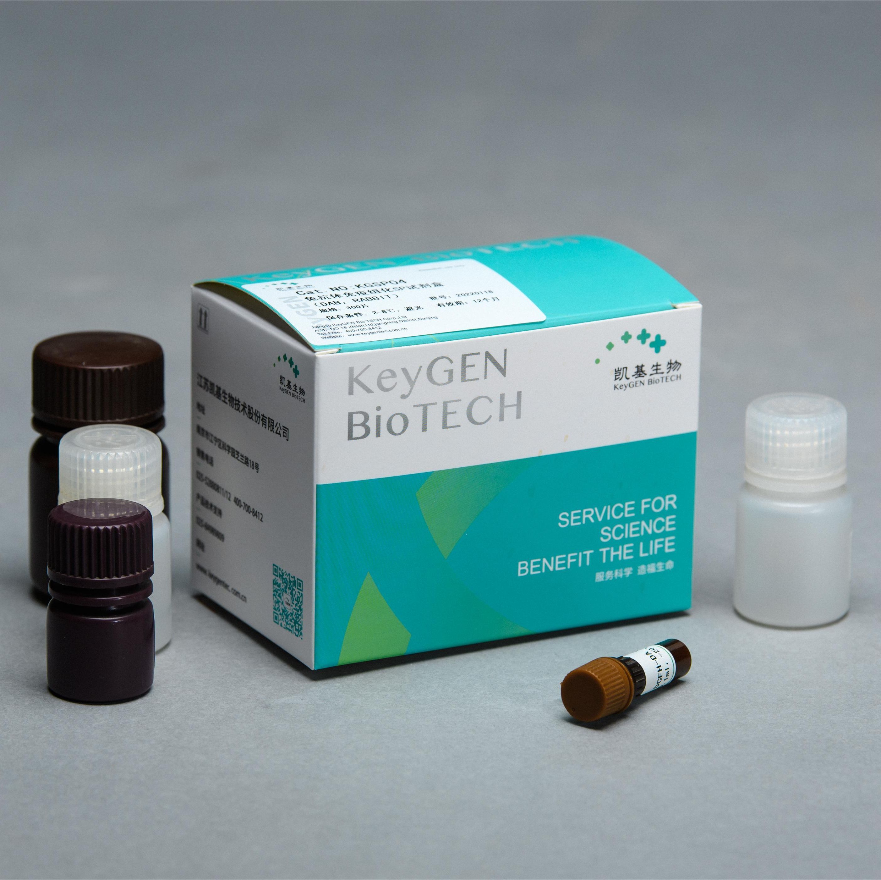 即用型免疫组织化学SP试剂盒(Rabbit)KGSP03