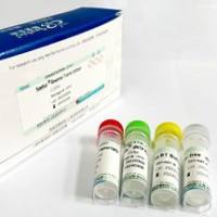 毛细管再生试剂