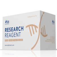 CFSE/PI双染细胞毒性检测试剂盒