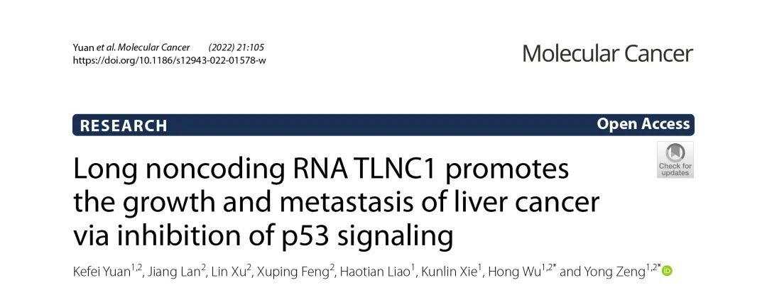 Mol Cancer丨lncRNA TLNC1通过抑制p53信号促进肝癌的生长和转移