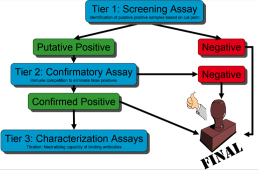 【新品上线】CAR细胞疗法免疫原性评价试剂盒