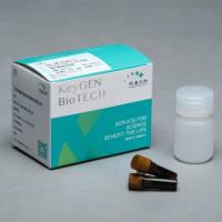 Annexin V-kFluor647/PI双染细胞凋亡检测试剂盒