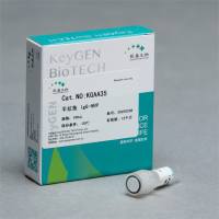 羊抗大鼠 IgG-HRP