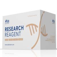 Annexin V-FITC /7-AAD双染细胞凋亡检测试剂盒