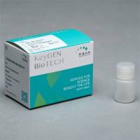 Binding Buffer (Annexin V系列配套使用)