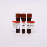 Gelred 核酸凝胶染料试剂/EB替代品 41003