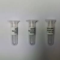 Doccol线栓MCAO栓线