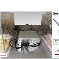 大鼠睡眠活动研究系统，小鼠睡眠活动研究系统
