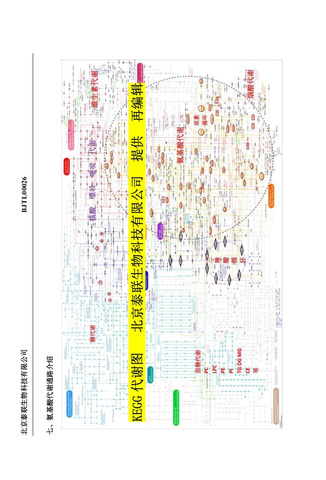 氨基酸检测与代谢组学分析