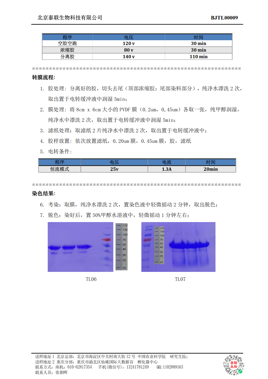 电泳转膜(PVDF)——样品制备