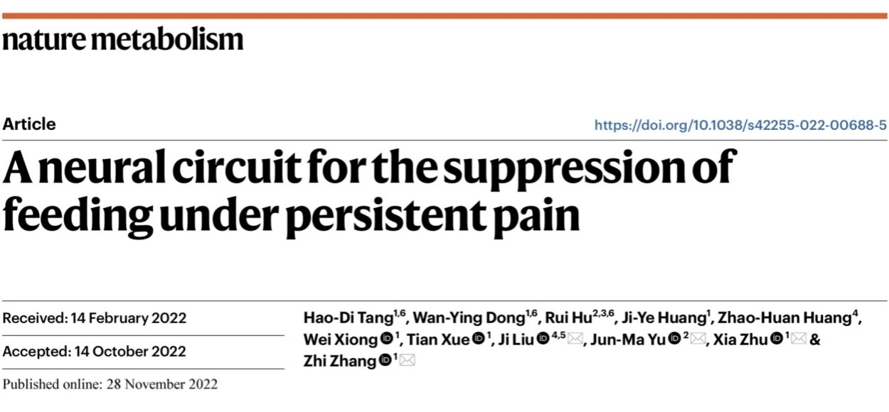 IF=19.865【客户文章】Nat Metab|中国科学技术大学生命科学与医学部张智教授团队揭示疼痛影响饮食的神经基础
