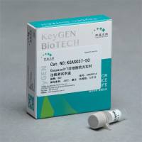 Caspase3/7活细胞荧光实时法检测试剂盒