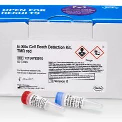 Roche罗氏 12156792910原位细胞死亡检测试剂盒，TMR红，In Situ Cell Death TMR(Roche)