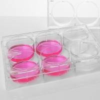 6孔超低吸附培养板