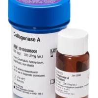 Roche罗氏 10103578001胶原酶A，Collagenase A