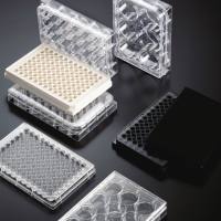 标准透明12孔细胞培养板