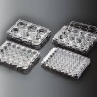 标准透明96孔细胞培养板