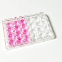 24孔超低吸附培养板