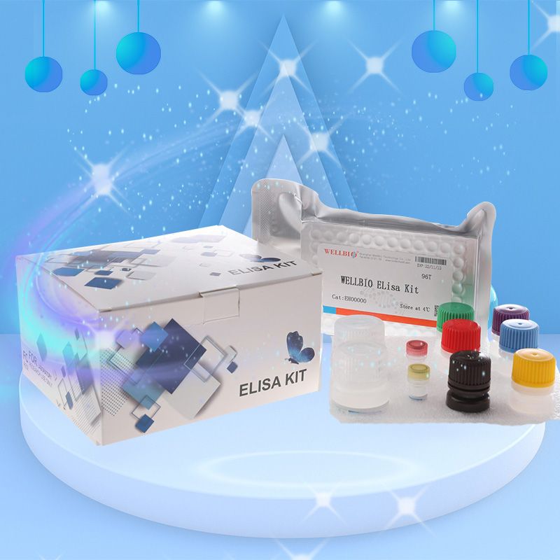 Rat ALKBH5 ELISA Kit (大鼠烷基化修复同源物5)