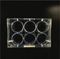 全黑底透6孔共聚焦培养板（玻底直径20mm）