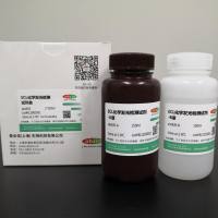 ECL化学发光检测试剂盒,ECL发光液