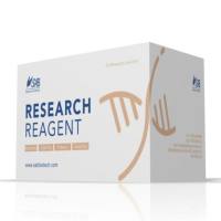 植物核蛋白提取试剂盒