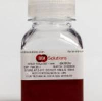 BBI- 10nm 金颗粒原液