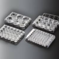 标准透明6孔细胞培养板