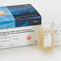 Roche罗氏 11745832910 DIG-High Prime DNA标记及检测启动装I，DIG-High Prime DNA Labeling and Detection Starter Kit I(Roche)