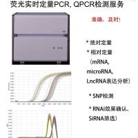 外泌体粒径检测服务