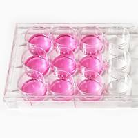 12孔超低吸附培养板