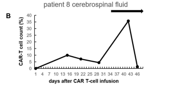 Front Med | 蒋瑛医生：GM-CSF 或可促进 CAR-T 再激活和细胞免疫恢复，且不诱发 CRS